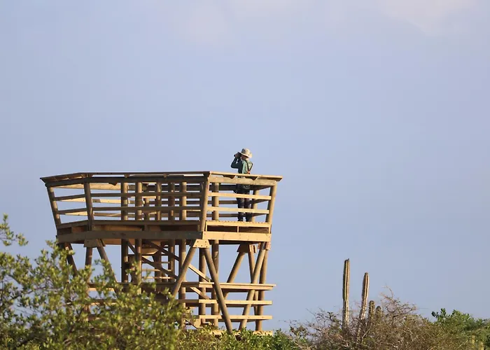 Awatawaa Ecolodge