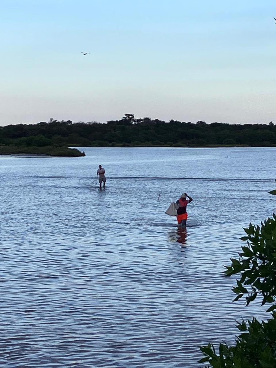 Awatawaa * La Punta de los Remedios